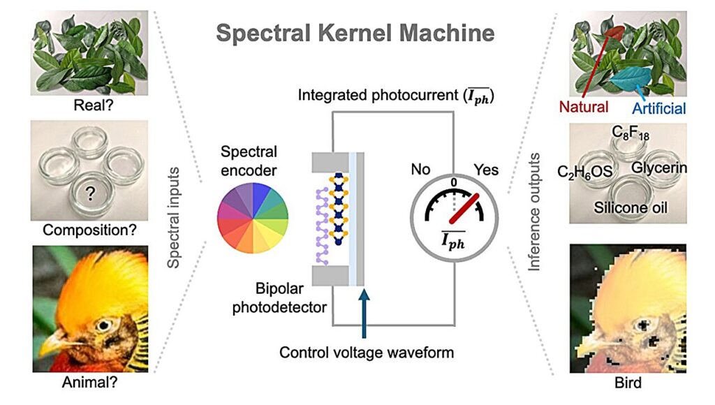 Intelligent photodetectors 'sniff and seek' like retriever dogs to recognize materials directly from light spectra Intelligent photodetectors 'sniff and seek' like retriever dogs to recognize materials directly from light spectra