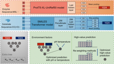 From Machine Learning to Multimodal Models: The AI Revolution in Enzyme Engineering From Machine Learning to Multimodal Models: The AI Revolution in Enzyme Engineering