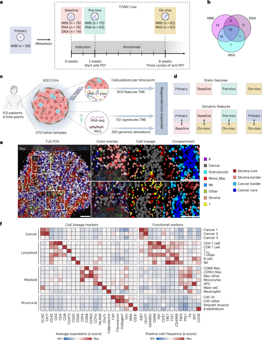 Temporal and spatial composition of the tumor microenvironment predicts response to immune checkpoint inhibition in metastatic TNBC Temporal and spatial composition of the tumor microenvironment predicts response to immune checkpoint inhibition in metastatic TNBC