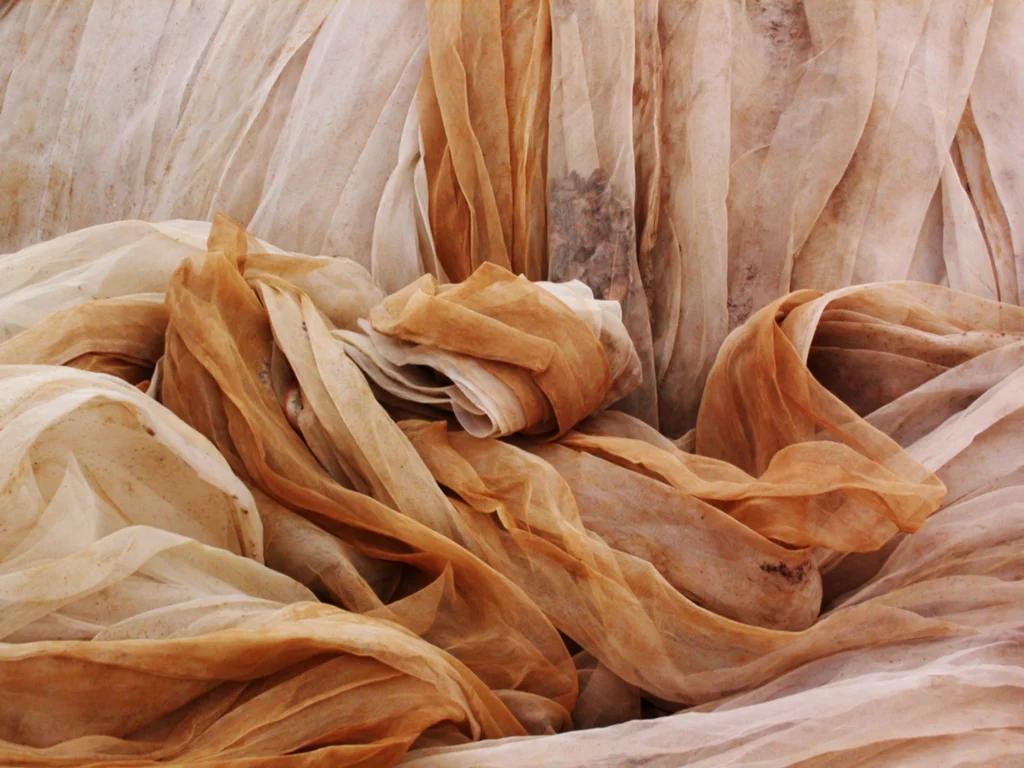 Check Point, Fortinet, and Cisco compared