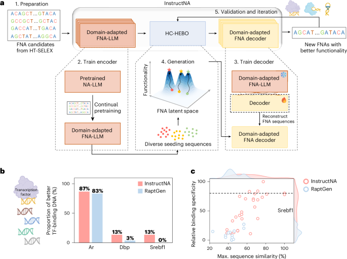 De novo design of useful nucleic acids of aptamers De novo design of functional nucleic acids of aptamers