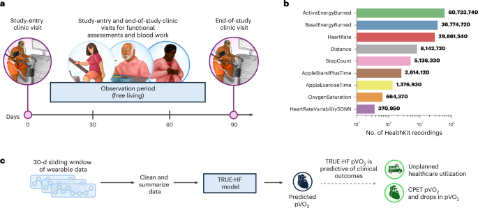 Distant monitoring of coronary heart failure exacerbations utilizing a smartwatch Remote monitoring of heart failure exacerbations using a smartwatch