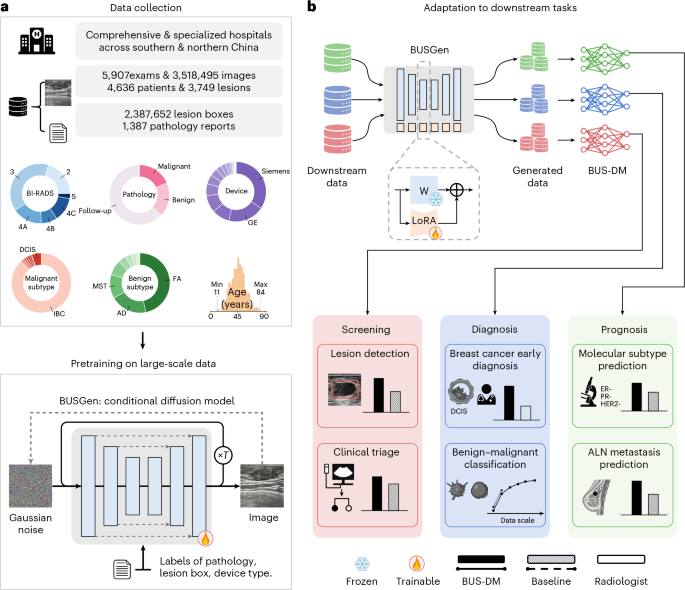 A basis generative mannequin for breast ultrasound picture evaluation A foundation generative model for breast ultrasound image analysis