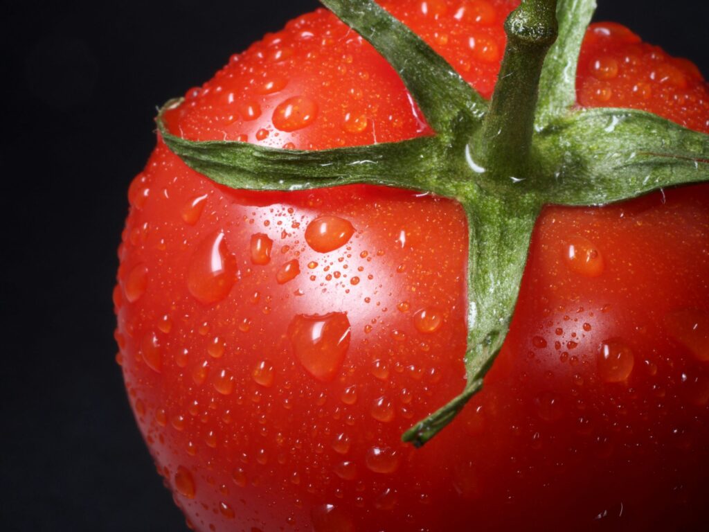 Tomato close-up as fusing AI with edge IoT sensors in agricultural machinery has pushed automated harvest success to 81 percent, altering industrial economics.