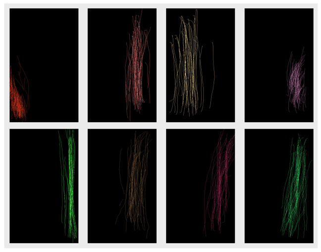 Conduct is the New Credential Analysis of scroll patterns in the Touchalytics research paper by U.C. Berkeley.