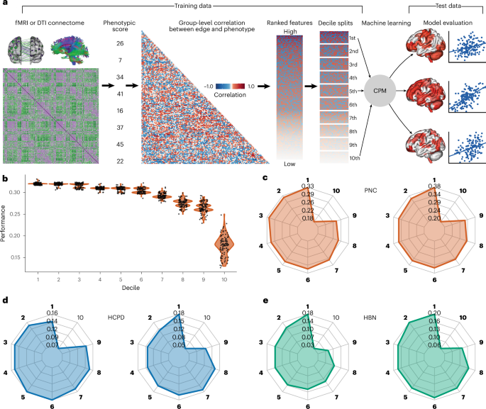 Characteristic choice results in divergent neurobiological interpretations of brain-based machine studying biomarkers Feature selection leads to divergent neurobiological interpretations of brain-based machine learning biomarkers