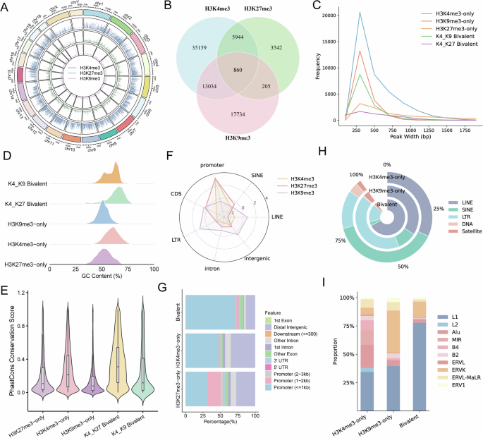 Machine and Deep Studying Reveal Sequence Determinants Encoding Bivalent Histone Modifications Machine and Deep Learning Reveal Sequence Determinants Encoding Bivalent Histone Modifications