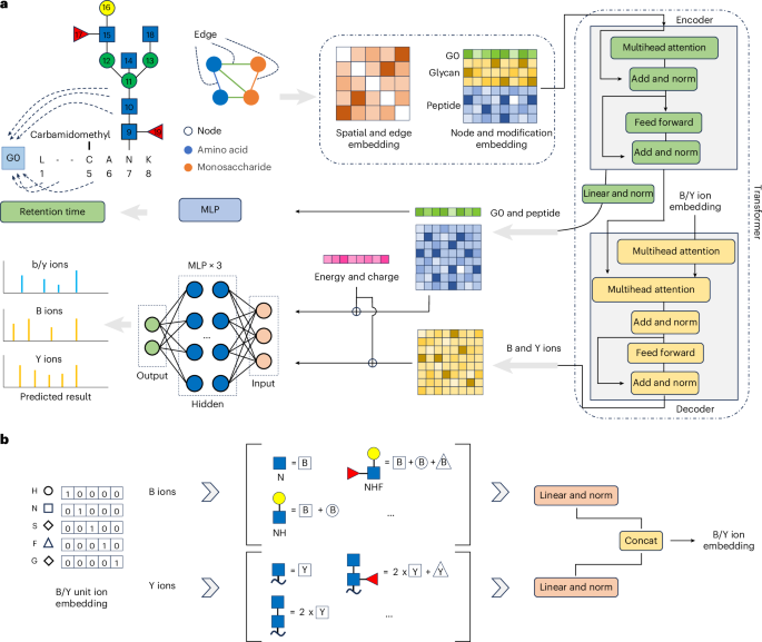 SpecGP: A Transformer-Based Approach for Predicting Energy-Adaptable Structural Spectra of Glycopeptides SpecGP as a transformer-based model for predicting energy-adaptable structural spectra of glycopeptides