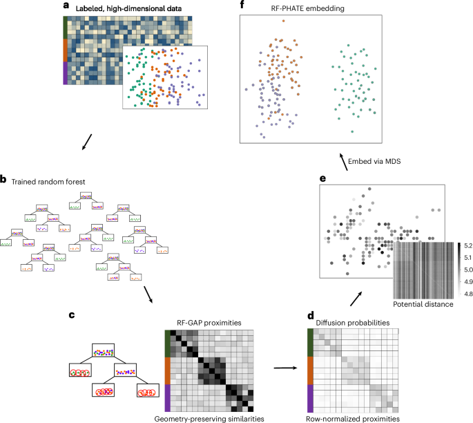 Gaining biological insights through supervised data visualization Gaining biological insights through supervised data visualization