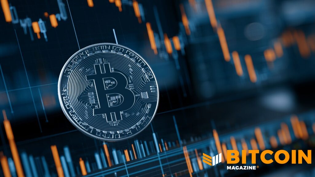 Whales Are Swallowing Bitcoin’s Plunge Micah Zimmerman