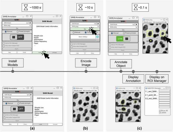 SAMJ: Accelerating Image Annotation in ImageJ/Fiji with the Segment Anything Model SAMJ: fast image annotation on ImageJ/Fiji via segment anything model