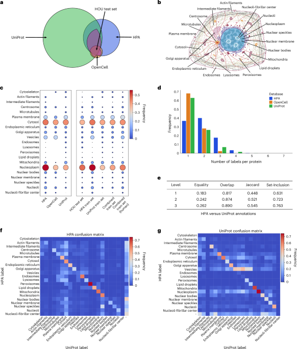 Decoding the Cellular Map: A Landmark Benchmark for Human Protein Localization Algorithms A comprehensive benchmark of sequence-based subcellular localization predictors for human proteins