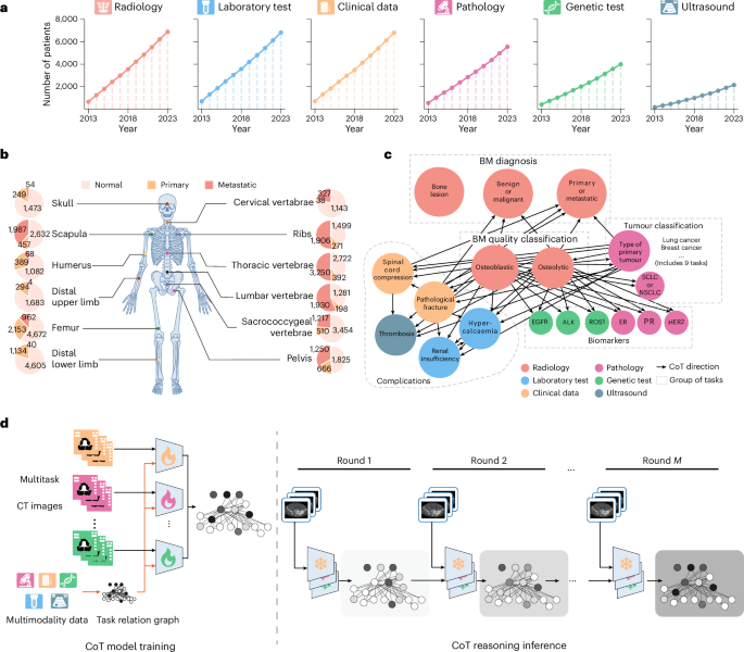 BoneCoT: multicentre validation of a whole-body skeleton foundation model for bone metastases guided by clinician-derived chain of thought BoneCoT: multicentre validation of a whole-body skeleton foundation model for bone metastases guided by clinician-derived chain of thought