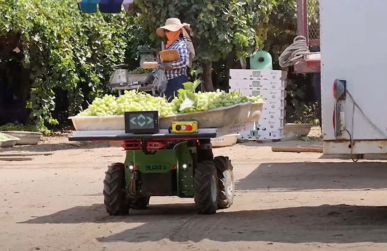 Robots Unleashed: Thriving in Chaos with Zero Infrastructure a burro robot carries vegetables after harvest. Such robots must be robust to navigate and operate in varied environments.