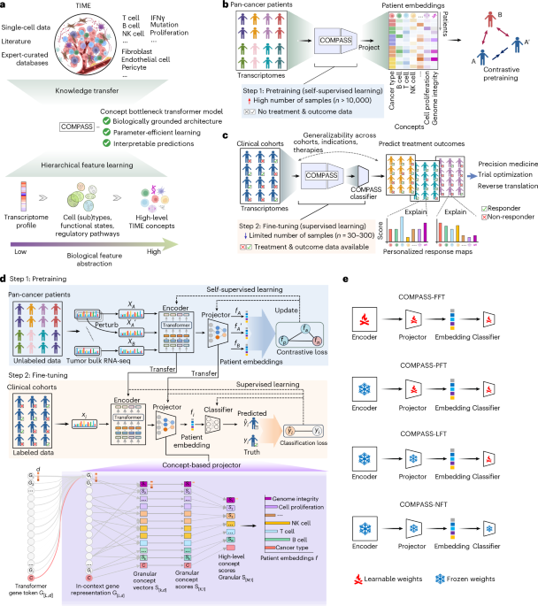 The Universal Forecaster: AI Decodes Cancer Immunotherapy Secrets Across All Treatments Generalizable AI predicts immunotherapy outcomes across cancers and treatments