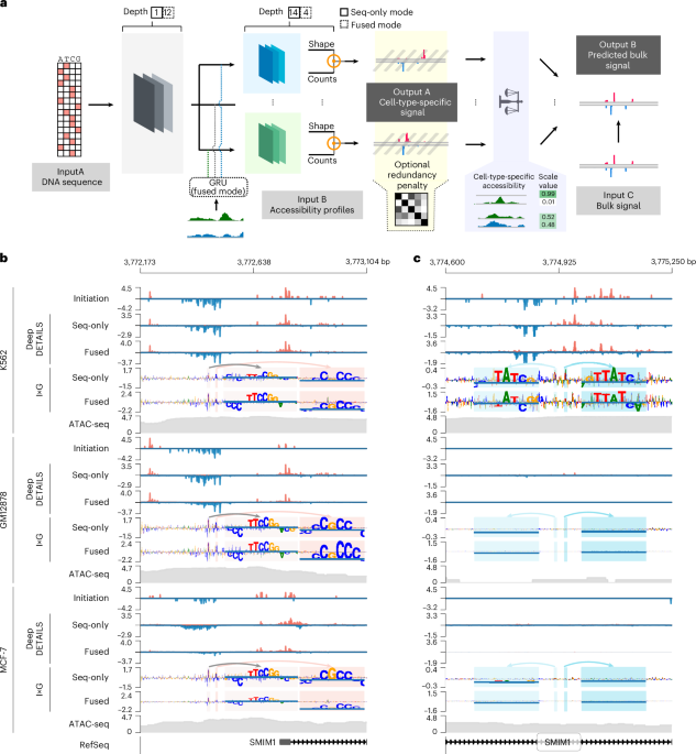 Decoding Cellular Secrets: High-Resolution Maps of Gene Control from Bulk Data High-resolution reconstruction of cell-type-specific transcriptional regulatory processes from bulk sequencing samples