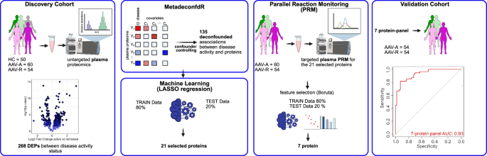 Charting the Vessel Storm: A Proteomic Blueprint for Vasculitis Remission Towards a proteomic plasma biomarker panel for diagnosing vasculitis remission