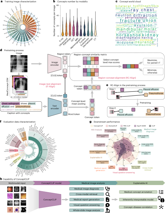 Decoding the Black Box: A Massive Vision-Language Foundation Model for Biomedicine Forged from Conceptual Knowledge An explainable biomedical foundation model via large-scale concept-enhanced vision–language pretraining
