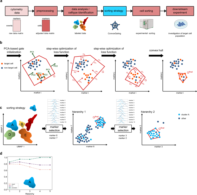 From Clusters to Clear Gates: ConvexGating Unlocks Intelligent Gating Strategies in Single-Cell Cytometry ConvexGating infers gating strategies from clusters in single cell cytometry data