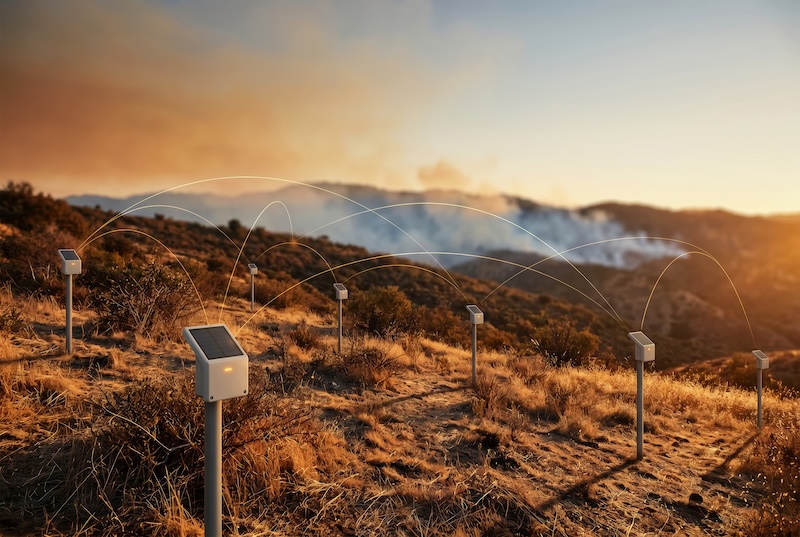 RFID Technology: A Game-Changer in Wildfire Response and Prevention How RFID Is Being Used for Wildfire Management