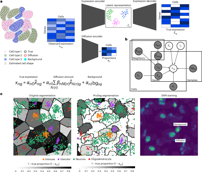 ResolVI: From Noise to Clarity — Robust Denoising and Bias Correction in Spatial Transcriptomics ResolVI: addressing noise and bias in spatial transcriptomics