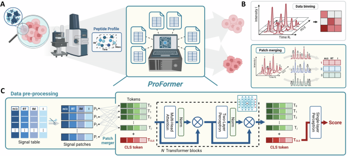 Decoding Cellular Proteomes: A Deep Learning Framework for Universal Classification Across Single-Cell and Blood Plasma ProFormer: generalizable classification of single-cell and plasma proteomes using deep learning
